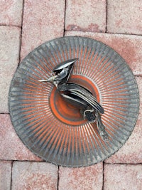 a bird is sitting on a metal plate